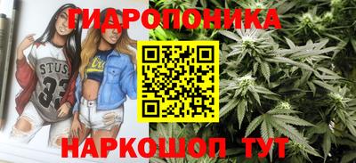 стаф Берёзовский