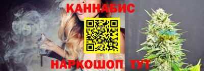 стаф Берёзовский
