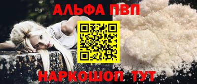 СК Бийск