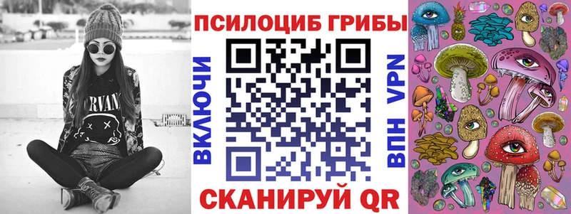 где можно купить   mega как войти  Псилоцибиновые грибы прущие грибы  Железногорск 