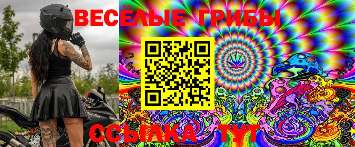 Галлюциногенные грибы прущие грибы  Железногорск  Галлюциногенные грибы Psilocybine cubensis 