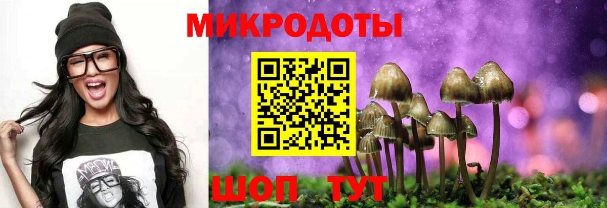 Галлюциногенные грибы мицелий  Вход с VPN  Галлюциногенные грибы Psilocybe  Железногорск 