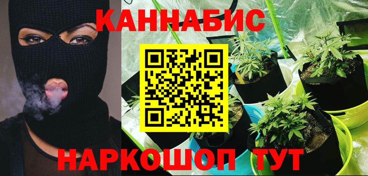 Канабис планчик  Конопля конопля  Железногорск  Шишки марихуана Amnesia  Вход с VPN 